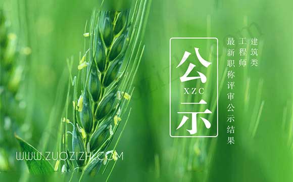 新工程师职称公示