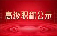 2022年河北省：纺织工程、工艺美术师报名职称正高级评审结果