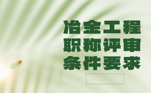 2024年申报职称：冶金工程系列冶金能源与环保专业正高级职称评审