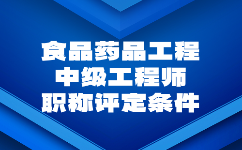 2024年食品药品工程中级工程师职称评定条件：材料类专业评审工程师